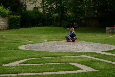 DSC_2568 (Large).JPG